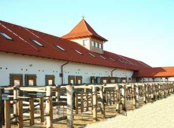 BIOFARM Horse Wellness Ranch